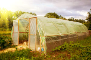Greenhouse with wood frame covered with plastic sheeting